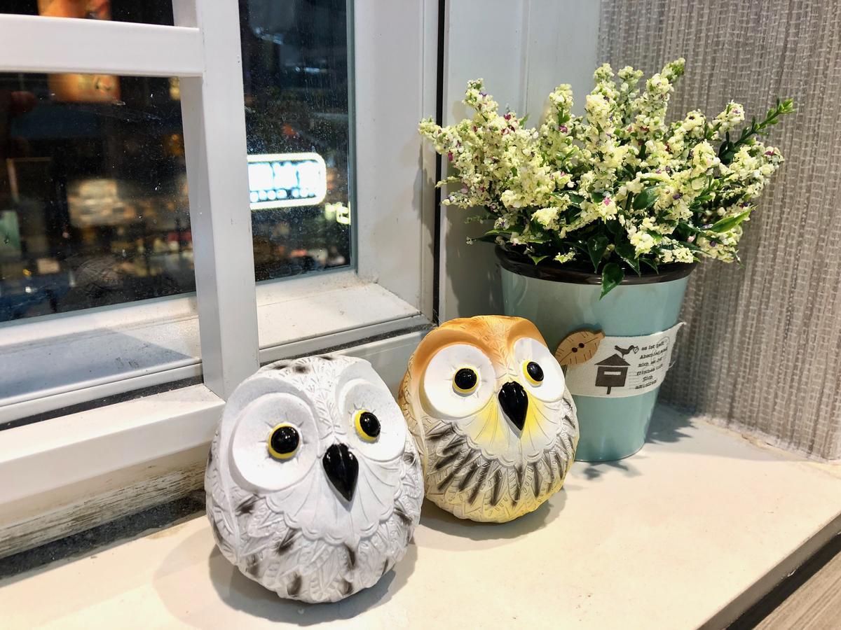 Owl Hostel Tsim Sha Tsui  Extérieur photo